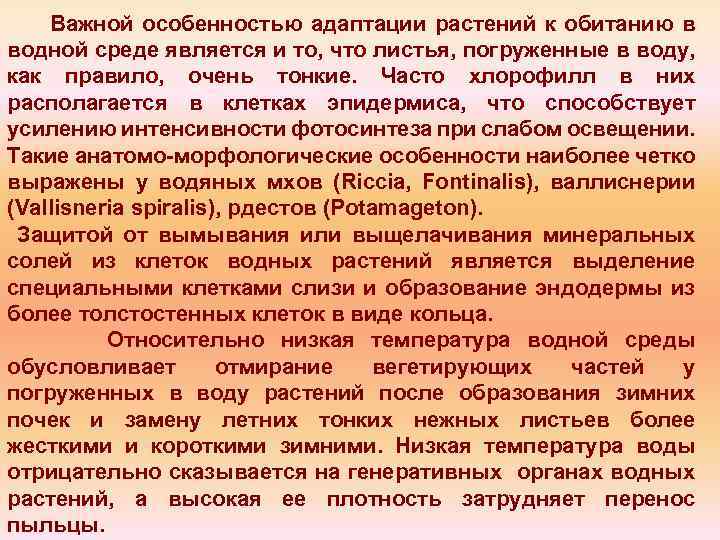 Важной особенностью адаптации растений к обитанию в водной среде является и то, что листья,