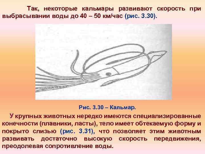 Так, некоторые кальмары развивают скорость при выбрасывании воды до 40 – 50 км/час (рис.