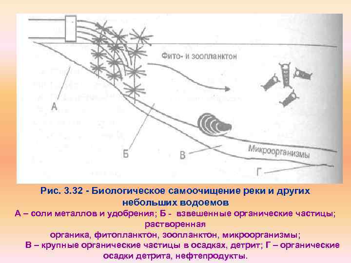 Процессы самоочищения водоемов схема