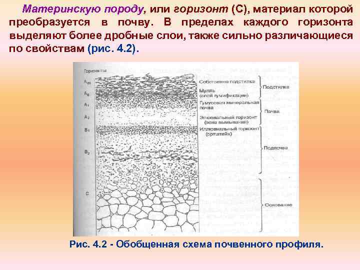 Материнскую породу, или горизонт (С), материал которой преобразуется в почву. В пределах каждого горизонта