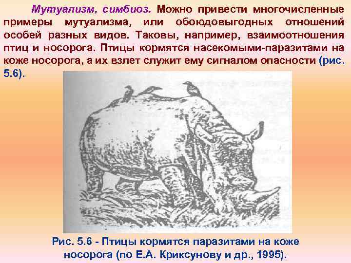 Мутуализм, симбиоз. Можно привести многочисленные примеры мутуализма, или обоюдовыгодных отношений особей разных видов. Таковы,