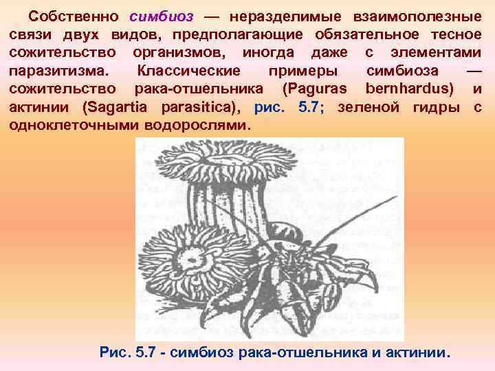 Виды симбиотических организмов