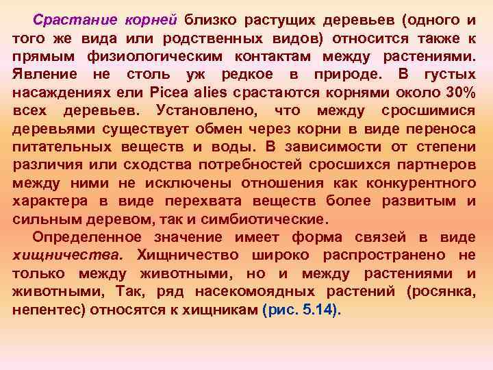 Срастание корней близко растущих деревьев (одного и того же вида или родственных видов) относится