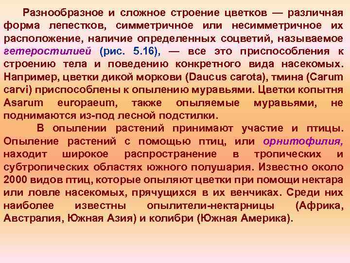 Разнообразное и сложное строение цветков — различная форма лепестков, симметричное или несимметричное их расположение,
