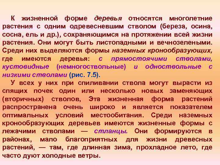 К жизненной форме деревья относятся многолетние растения с одним одревесневшим стволом (береза, осина, сосна,