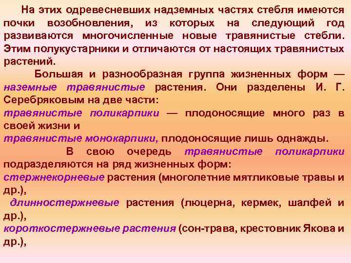 На этих одревесневших надземных частях стебля имеются почки возобновления, из которых на следующий год