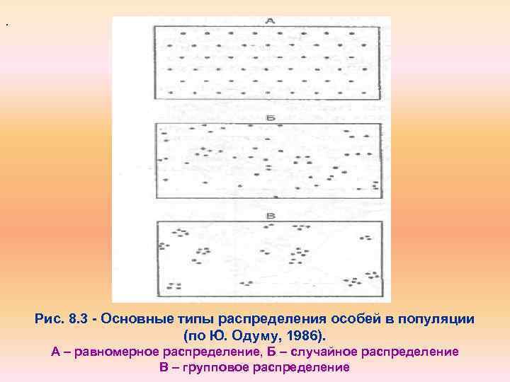 . Рис. 8. 3 - Основные типы распределения особей в популяции (по Ю. Одуму,