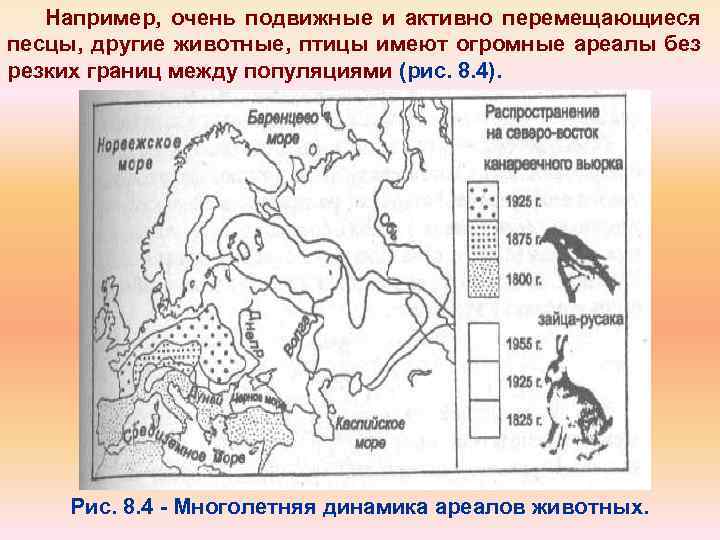 Например, очень подвижные и активно перемещающиеся песцы, другие животные, птицы имеют огромные ареалы без