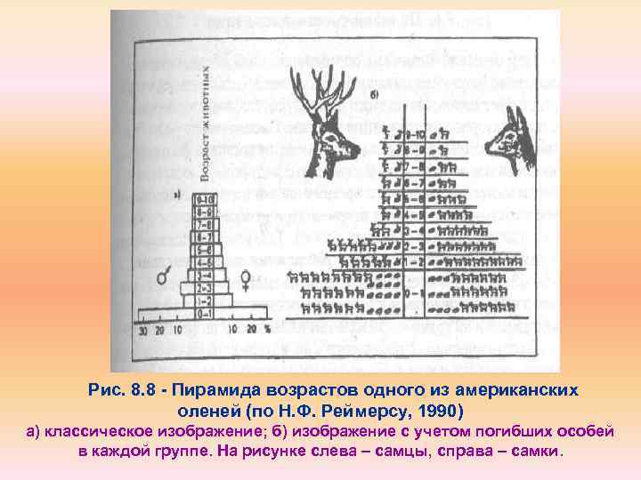 Рис. 8. 8 - Пирамида возрастов одного из американских оленей (по Н. Ф. Реймерсу,