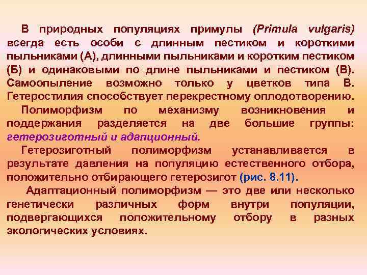 В природных популяциях примулы (Primula vulgaris) всегда есть особи с длинным пестиком и короткими