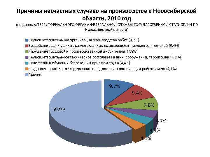 Причины несчастных случаев на производстве в Новосибирской области, 2010 год (по данным ТЕРРИТОРИАЛЬНОГО ОРГАНА