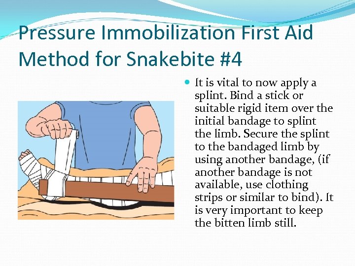 Pressure Immobilization First Aid Method for Snakebite #4 It is vital to now apply