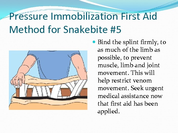 Pressure Immobilization First Aid Method for Snakebite #5 Bind the splint firmly, to as