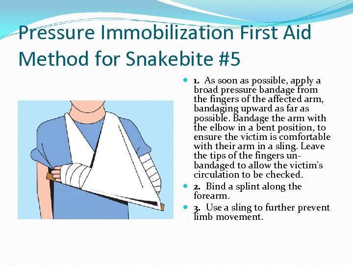 Pressure Immobilization First Aid Method for Snakebite #5 1. As soon as possible, apply