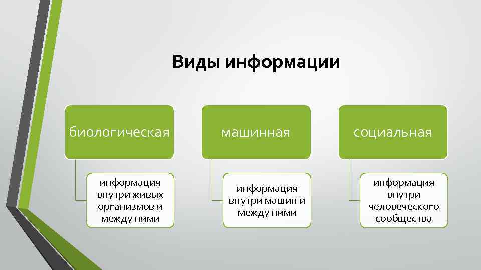 Виды информации биологическая информация внутри живых организмов и между ними машинная информация внутри машин