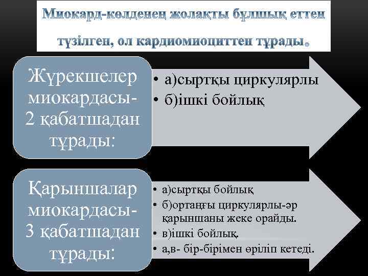 Жүрекшелер • а)сыртқы циркулярлы миокардасы- • б)ішкі бойлық 2 қабатшадан тұрады: Қарыншалар миокардасы3 қабатшадан