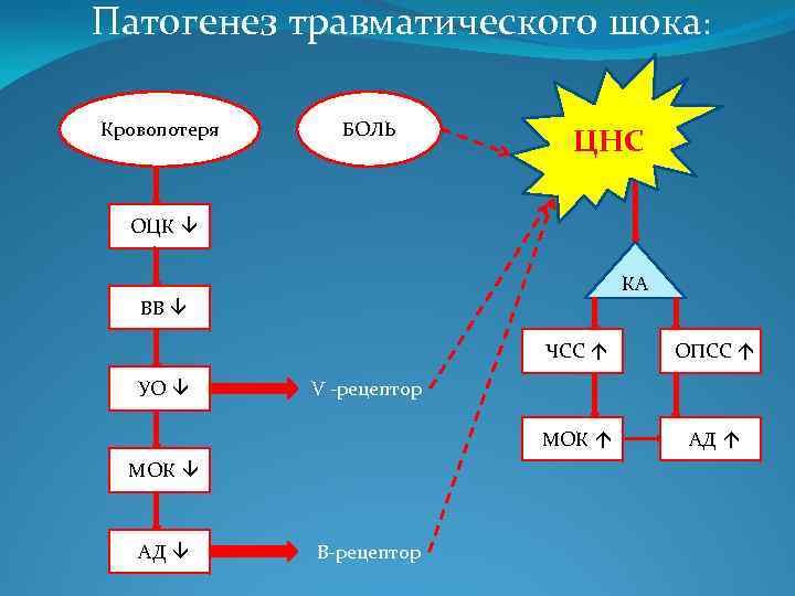 Патогенез травматического шока: Кровопотеря БОЛЬ ЦНС ОЦК â КА ВВ â ЧСС á МОК