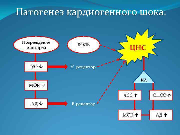 Патогенез кардиогенного шока: Повреждение миокарда БОЛЬ УО â V -рецептор ЦНС КА МОК â