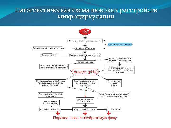 Блок схема расстройства кровообращения