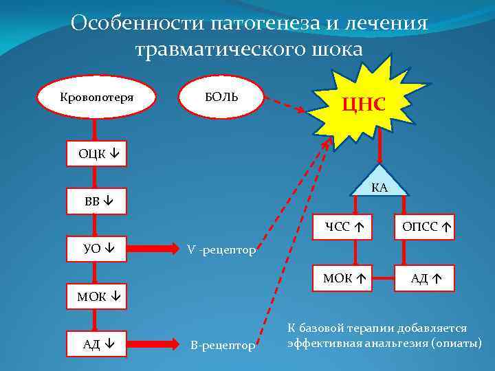 Особенности патогенеза и лечения травматического шока Кровопотеря БОЛЬ ЦНС ОЦК â КА ВВ â