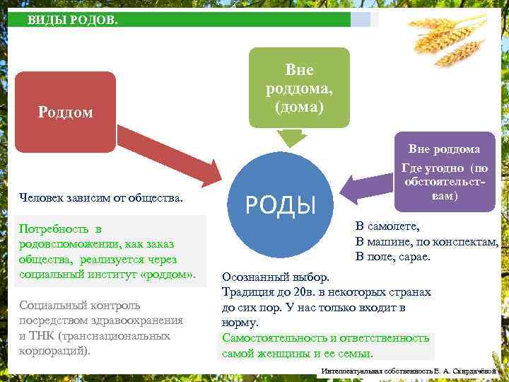 ВИДЫ РОДОВ. Роддом Вне роддома, (дома) Вне роддома Человек зависим от общества. Потребность в