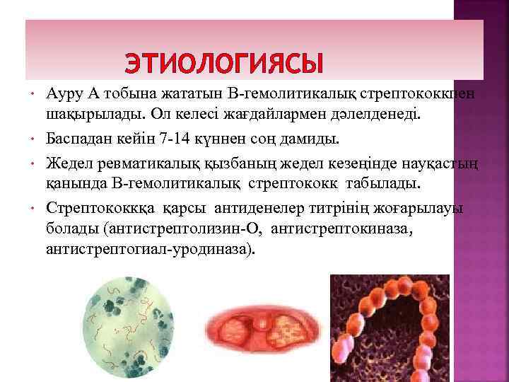 ЭТИОЛОГИЯСЫ • • Ауру А тобына жататын B-гемолитикалық стрептококкпен шақырылады. Ол келесі жағдайлармен дәлелденеді.