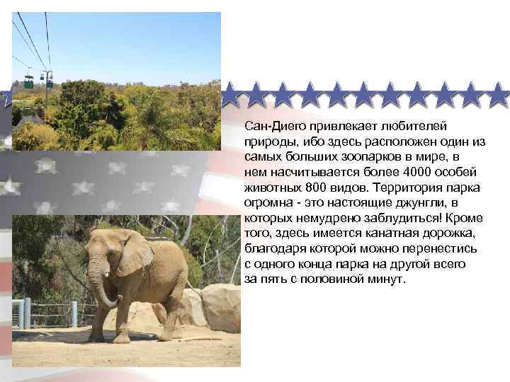 Сан-Диего привлекает любителей природы, ибо здесь расположен один из самых больших зоопарков в мире,