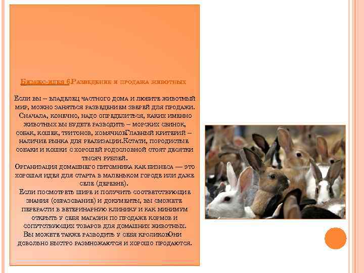 БИЗНЕС-ИДЕЯ 6. РАЗВЕДЕНИЕ И ПРОДАЖА ЖИВОТНЫХ ЕСЛИ ВЫ – ВЛАДЕЛЕЦ ЧАСТНОГО ДОМА И ЛЮБИТЕ