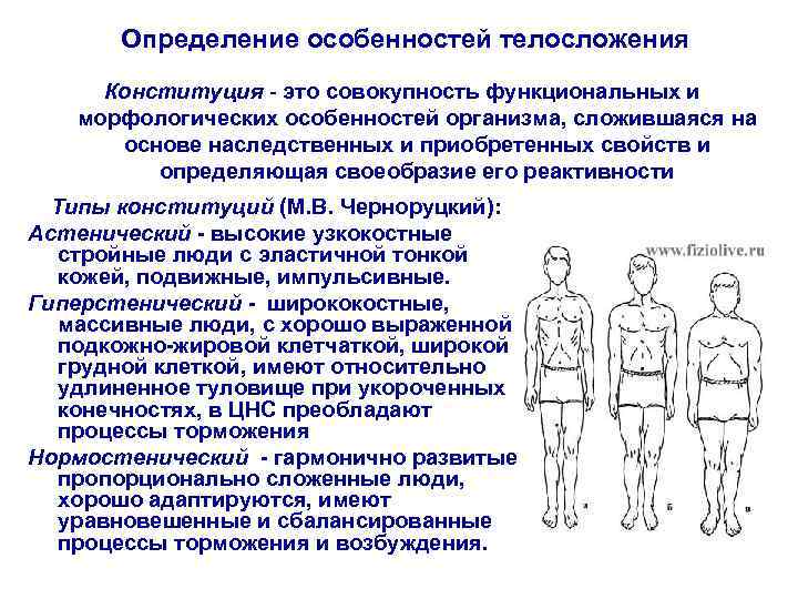 Определение особенностей телосложения Конституция - это совокупность функциональных и морфологических особенностей организма, сложившаяся на