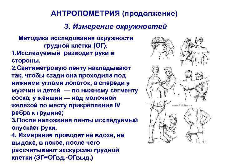 АНТРОПОМЕТРИЯ (продолжение) 3. Измерение окружностей Методика исследования окружности грудной клетки (ОГ). 1. Исследуемый разводит