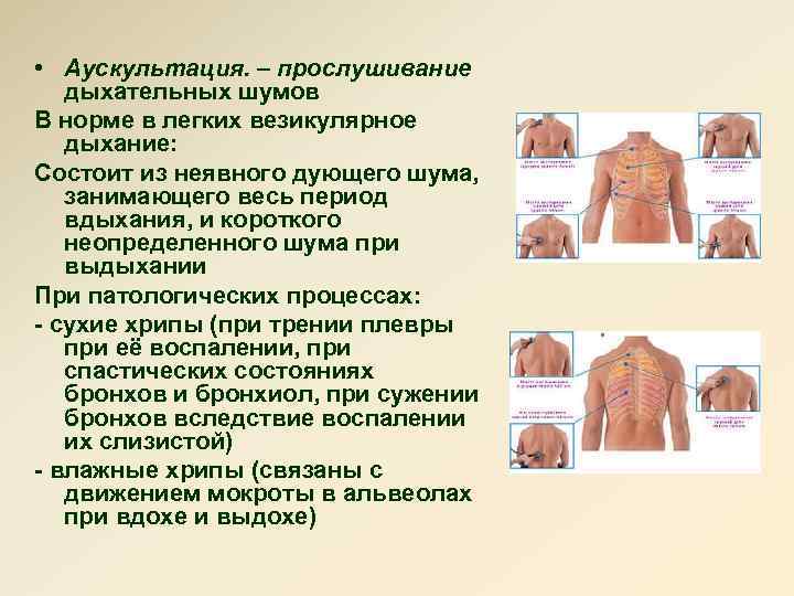 Виды дыхания при аускультации легких схема