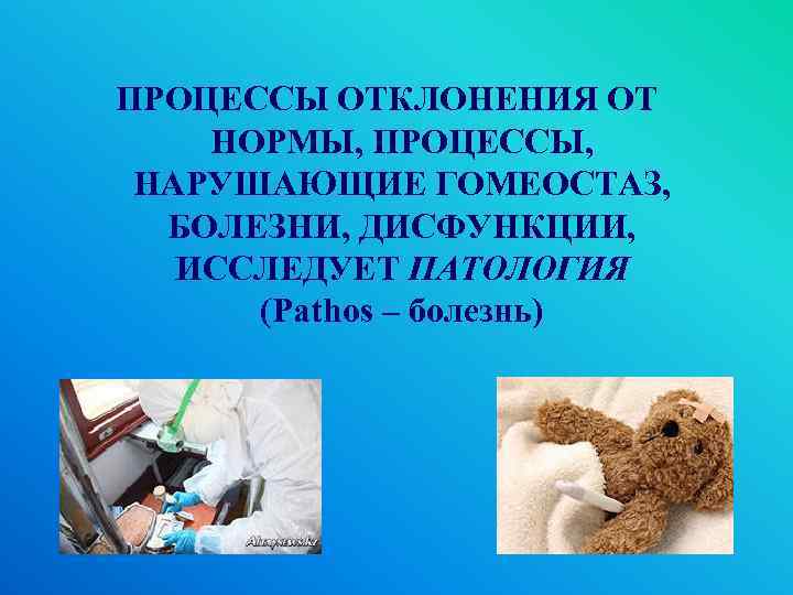 ПРОЦЕССЫ ОТКЛОНЕНИЯ ОТ НОРМЫ, ПРОЦЕССЫ, НАРУШАЮЩИЕ ГОМЕОСТАЗ, БОЛЕЗНИ, ДИСФУНКЦИИ, ИССЛЕДУЕТ ПАТОЛОГИЯ (Pathos – болезнь)