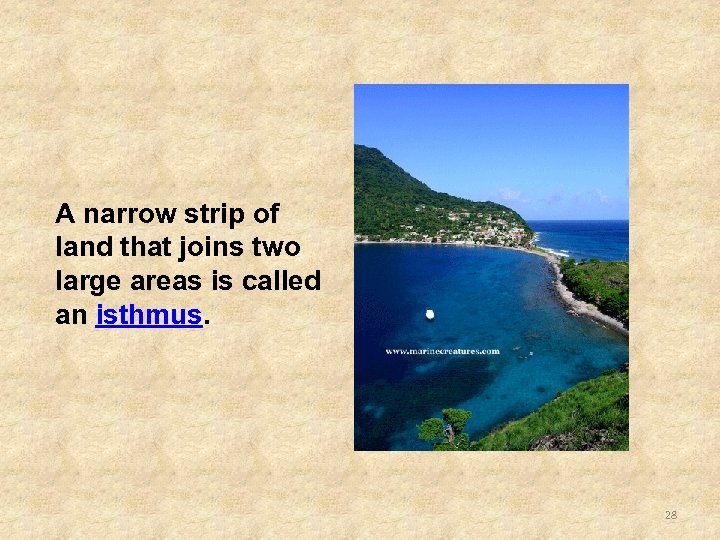 A narrow strip of land that joins two large areas is called an isthmus.