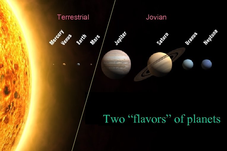 Terrestrial Jovian Two “flavors” of planets 