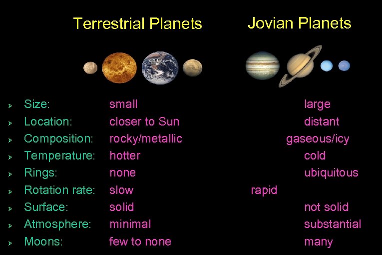 Terrestrial Planets Ø Ø Ø Ø Ø Size: Location: Composition: Temperature: Rings: Rotation rate: