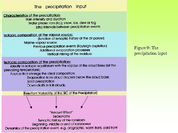 Figure 9: The precipitation input 