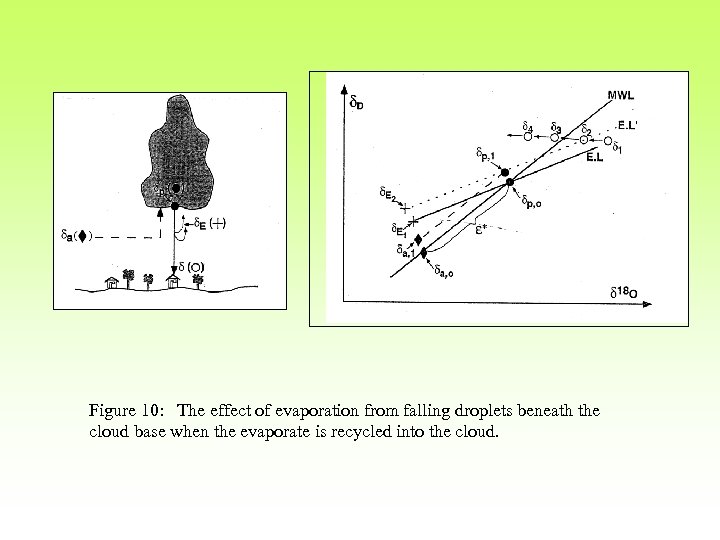 Figure 10: The effect of evaporation from falling droplets beneath the cloud base when