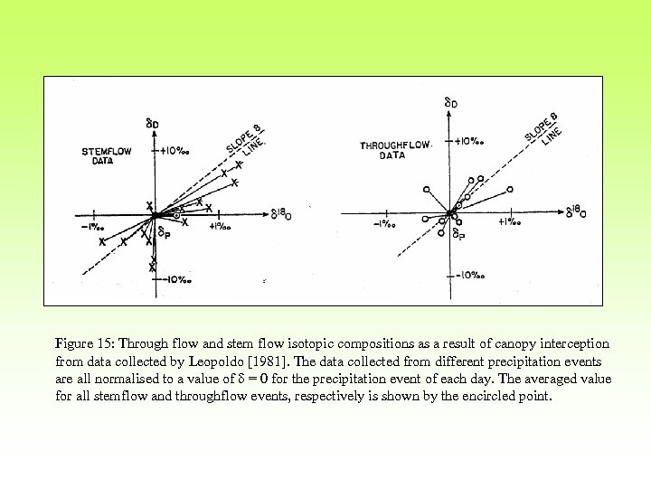 Figure 15: Through flow and stem flow isotopic compositions as a result of canopy