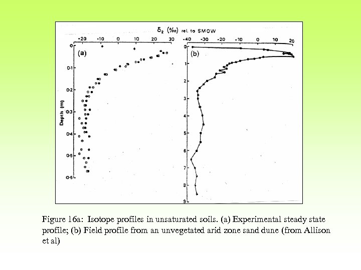 Figure 16 a: Isotope profiles in unsaturated soils. (a) Experimental steady state profile; (b)