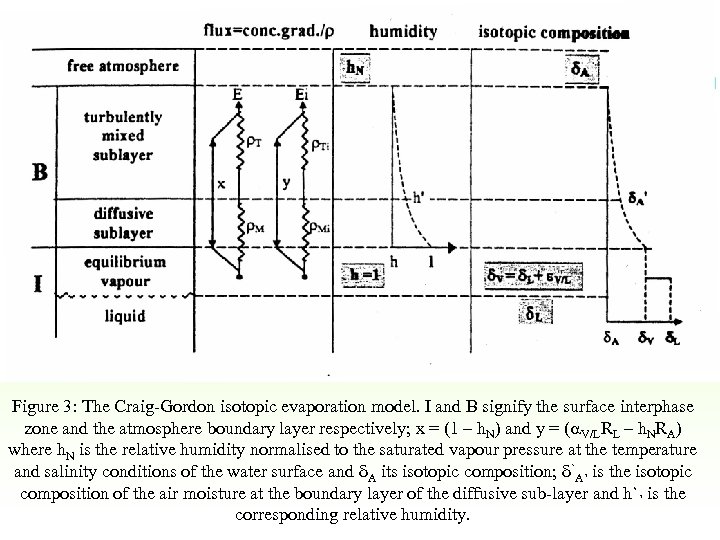 Figure 3: The Craig-Gordon isotopic evaporation model. I and B signify the surface interphase