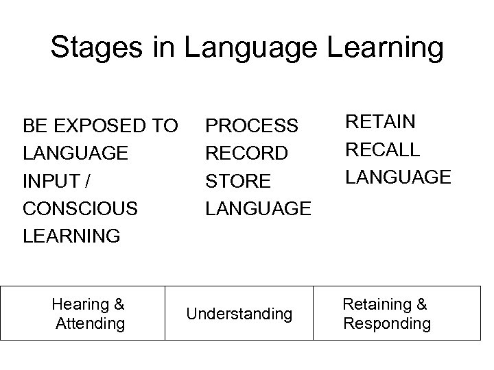 Stages in Language Learning BE EXPOSED TO LANGUAGE INPUT / CONSCIOUS LEARNING Hearing &
