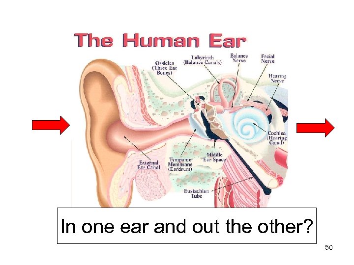 In one ear and out the other? 50 