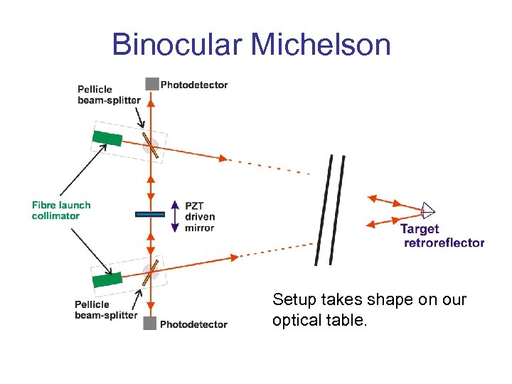 Binocular Michelson Setup takes shape on our optical table. 