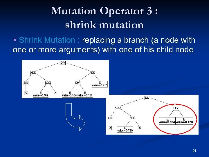 Mutation Operator 3 : shrink mutation § Shrink Mutation : replacing a branch (a