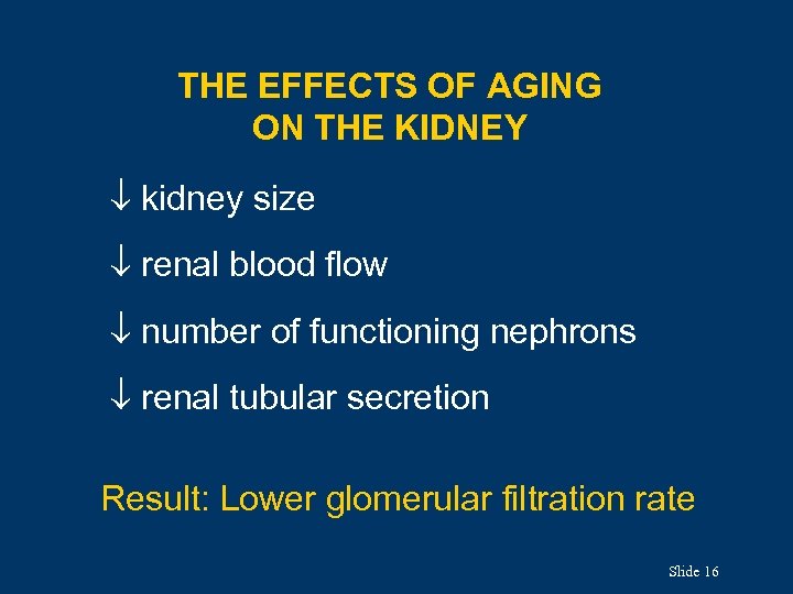 THE EFFECTS OF AGING ON THE KIDNEY kidney size renal blood flow number of