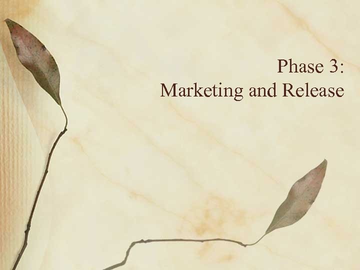 Phase 3: Marketing and Release 