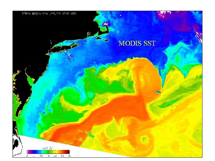 MODIS SST 