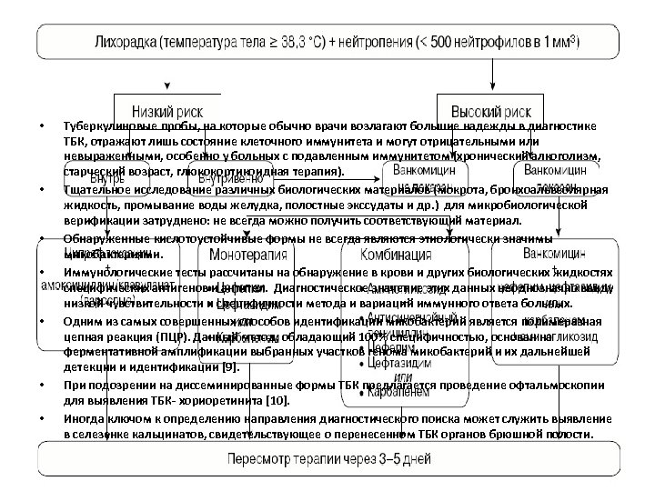  • • Туберкулиновые пробы, на которые обычно врачи возлагают большие надежды в диагностике