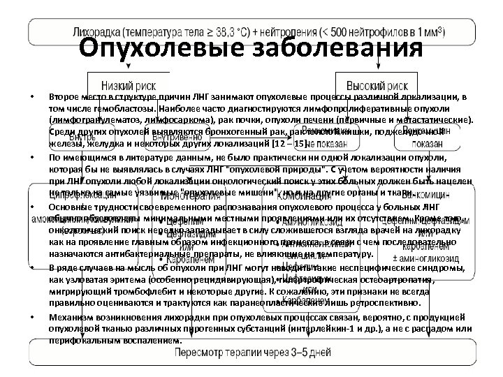 Опухолевые заболевания • • • Второе место в структуре причин ЛНГ занимают опухолевые процессы