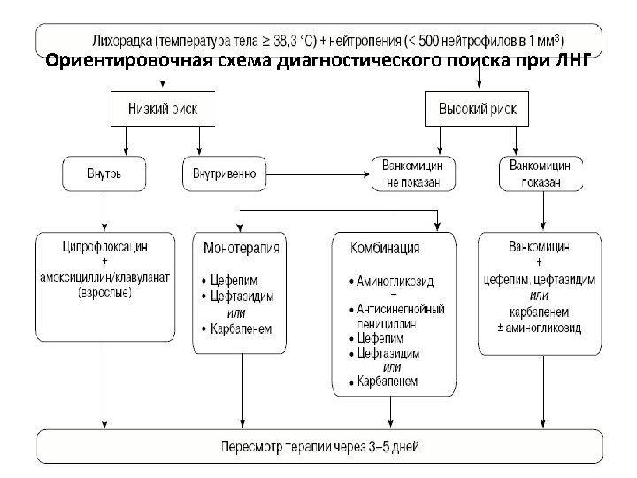 Ориентировочная схема диагностического поиска при ЛНГ 